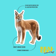 Caracal Sticker – Cute Wild Cat Vinyl Decal for Laptop, Water Bottle & Car, Animal Lover Gift