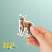 Caracal Sticker – Cute Wild Cat Vinyl Decal for Laptop, Water Bottle & Car, Animal Lover Gift