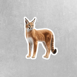 Caracal Sticker – Cute Wild Cat Vinyl Decal for Laptop, Water Bottle & Car, Animal Lover Gift