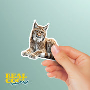 Lynx Sticker Decal for Laptop, Water Bottle & Scrapbook - Durable Vinyl Art, Animal Lover Gift, Wildlife Sticker