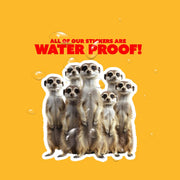 Meerkat Sticker | Meerkat Family Sticker | Meerkat Group Sticker