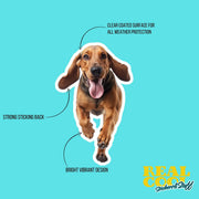 Running Bloodhound Sticker | Bloodhound Sticker