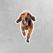 Running Bloodhound Sticker | Bloodhound Sticker