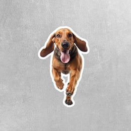 Running Bloodhound Sticker | Bloodhound Sticker