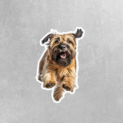 Briard Running Sticker - Briard Decal for Water Bottles, Car & Laptop - Cute Briard Dog Vinyl Art