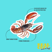 Lobster Sticker | Watercolor Lobster Sticker | Cute Lobster Decal