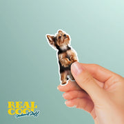 Yorkie Standing Sticker - Yorkshire Terrier Decal for Water Bottles, Car & Laptop - Cute Yorkie Dog Vinyl Art