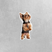 Yorkie Standing Sticker - Yorkshire Terrier Decal for Water Bottles, Car & Laptop - Cute Yorkie Dog Vinyl Art