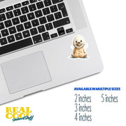 Baby Seal Sticker | Seal Sticker | Baby Seal Decal