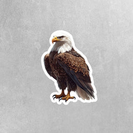 Bald Eagle Sticker | Eagle Sticker | American Eagle Decal