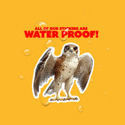 Hawk Sticker | Hawk Decal | Hawk