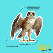 Hawk Sticker | Hawk Decal | Hawk