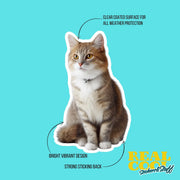 Cute Sitting Cat Sticker | Cat Sticker | Cat Decal