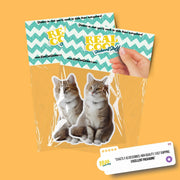 Cute Sitting Cat Sticker | Cat Sticker | Cat Decal