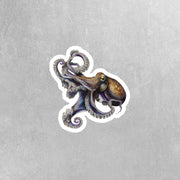 Octopuss Sticker | Octopuss Drawn Sticker