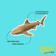 Nurse Shark Sticker | Nurse Shark Decal | Shark Sticker