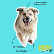 Anatolian Shepherd Running Sticker - Durable Waterproof Vinyl Decal for Cars, Laptops & Water Bottles, Dog Lover Gift