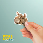 Hugging Bunnies Sticker | Cute Bunnies Decal for Laptop, Water Bottle, & Planner - Adorable Bunnies Gift