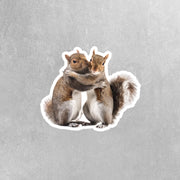 Hugging Squirrels Sticker | Cute Squirrels Decal for Laptop, Water Bottle, & Planner - Adorable Squirrels Gift