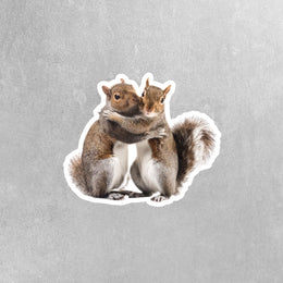 Hugging Squirrels Sticker | Cute Squirrels Decal for Laptop, Water Bottle, & Planner - Adorable Squirrels Gift