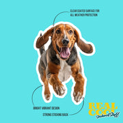 American English Coon Dog Running Sticker | American English Coon Sticker