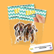American English Coon Dog Running Sticker | American English Coon Sticker