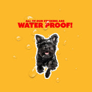Affenpinscher Sticker | Running Affenpinscher Sticker