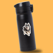 Alaskan Klee Kai Sticker | Running Alaskan Klee Kai Sticker
