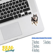 Alaskan Klee Kai Sticker | Running Alaskan Klee Kai Sticker