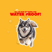 Alaskan Malamute Sticker | Running Alaskan Malamute Sticker