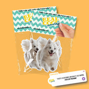 American Eskimo Sticker | Running American Eskimo Sticker
