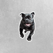 American Bulldog Sticker | Running American Bulldog Sticker