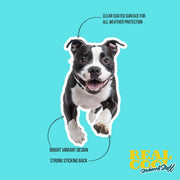 American Bulldog Sticker | Running American Bulldog Sticker | Black White Bulldog Sticker