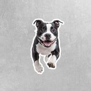American Bulldog Sticker | Running American Bulldog Sticker | Black White Bulldog Sticker