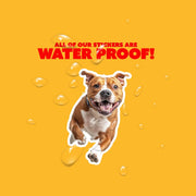 Stafford Shire Bull Terrier Sticker | Running Stafford Shire Bull Terrier Sticker
