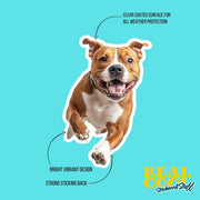 Stafford Shire Bull Terrier Sticker | Running Stafford Shire Bull Terrier Sticker