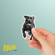 Cane Corso Sticker | Running Cane Corso Sticker