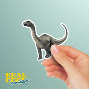 Brontosaurus Sticker | Dinosaur Water Bottle Sticker | Brontosaurus Decal
