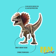 Dilophosaurus Sticker | Dinosaur Water Bottle Sticker | Dilophosaurus Decal