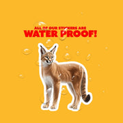 Caracal Sticker – Cute Wild Cat Vinyl Decal for Laptop, Water Bottle & Car, Animal Lover Gift