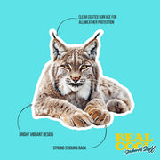 Lynx Sticker Decal for Laptop, Water Bottle & Scrapbook - Durable Vinyl Art, Animal Lover Gift, Wildlife Sticker