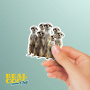Meerkat Sticker | Meerkat Family Sticker | Meerkat Group Sticker