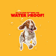 Bracco Italiano Running Sticker - Bracco Italiano Decal for Water Bottles, Car & Laptop - Cute Bracco Italiano Dog Vinyl Art