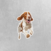 Bracco Italiano Running Sticker - Bracco Italiano Decal for Water Bottles, Car & Laptop - Cute Bracco Italiano Dog Vinyl Art
