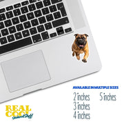 Mastiff Running Sticker - Mastiff Decal for Water Bottles, Car & Laptop - Cute Mastiff Dog Vinyl Art