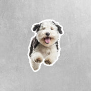 Old English Sheepdog Running Sticker - Old English Sheepdog Decal for Water Bottles, Car & Laptop - Cute Old English Sheepdog Vinyl Decal