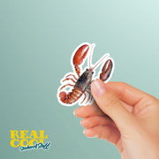 Lobster Sticker | Watercolor Lobster Sticker | Cute Lobster Decal