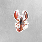 Lobster Sticker | Watercolor Lobster Sticker | Cute Lobster Decal