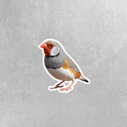 Zebra Finch Sticker | Finch Sticker | Zebra Finch Decal