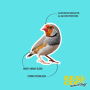 Zebra Finch Sticker | Finch Sticker | Zebra Finch Decal